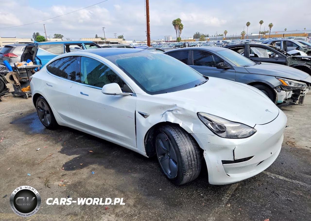 2019 Tesla Model 3 VIN:5YJ3E1EA7KF401491 - 4