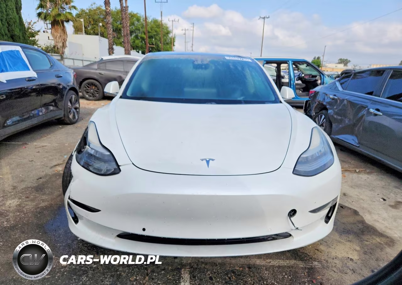 2019 Tesla Model 3 VIN:5YJ3E1EA7KF401491 - 5