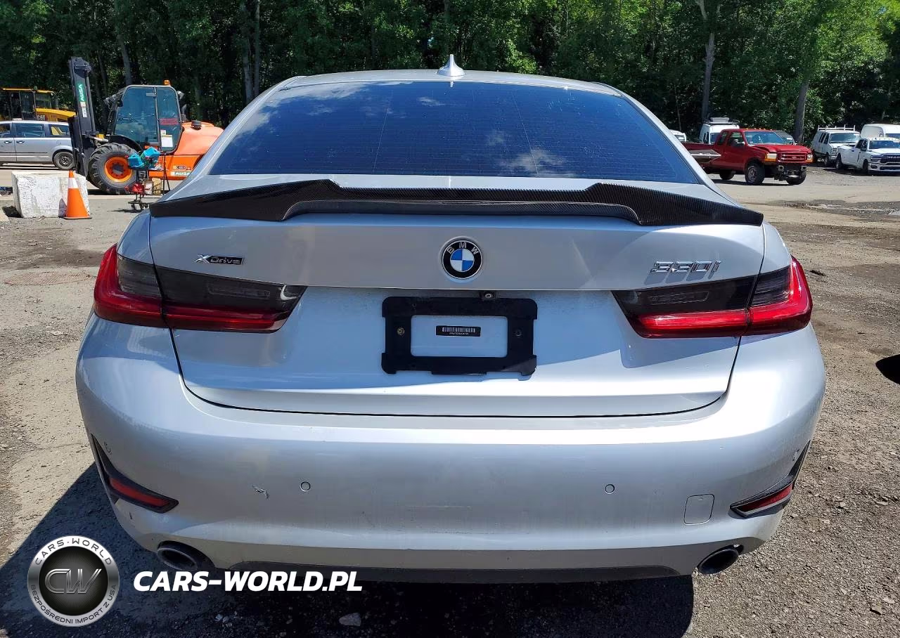 2019 BMW 330Xi VIN:WBA5R7C59KAJ83906 - 6