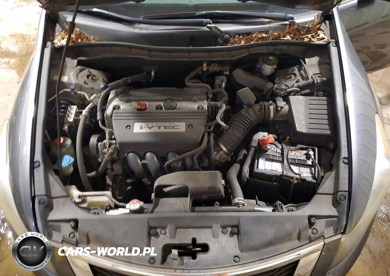 2009 Honda Accord Lx VIN:1HGCP26369A196749 - 11