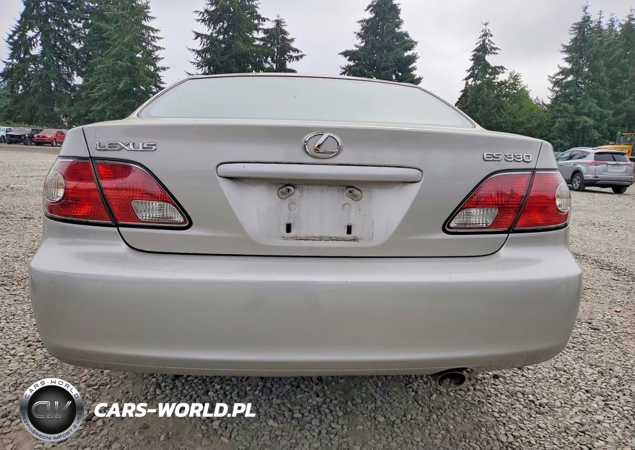 2004 Lexus Es 330 VIN:JTHBA30G640019578 - 6