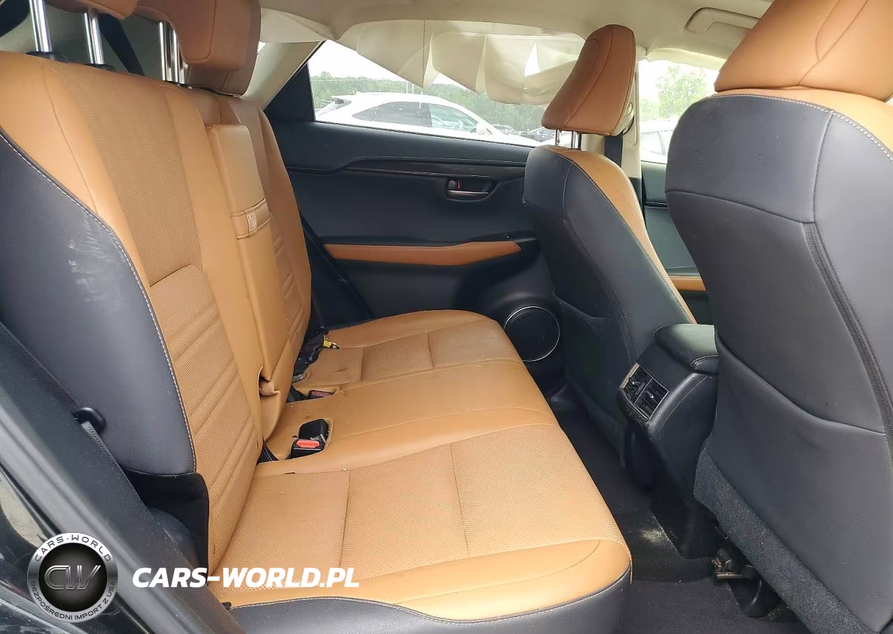 2019 Lexus Nx 300 Base VIN:JTJBARBZ4K2214550 - 11