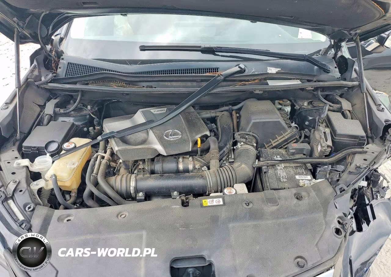 2019 Lexus Nx 300 Base VIN:JTJBARBZ4K2214550 - 12