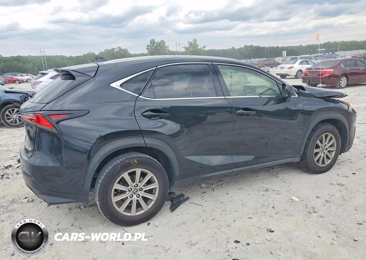 2019 Lexus Nx 300 Base VIN:JTJBARBZ4K2214550 - 3