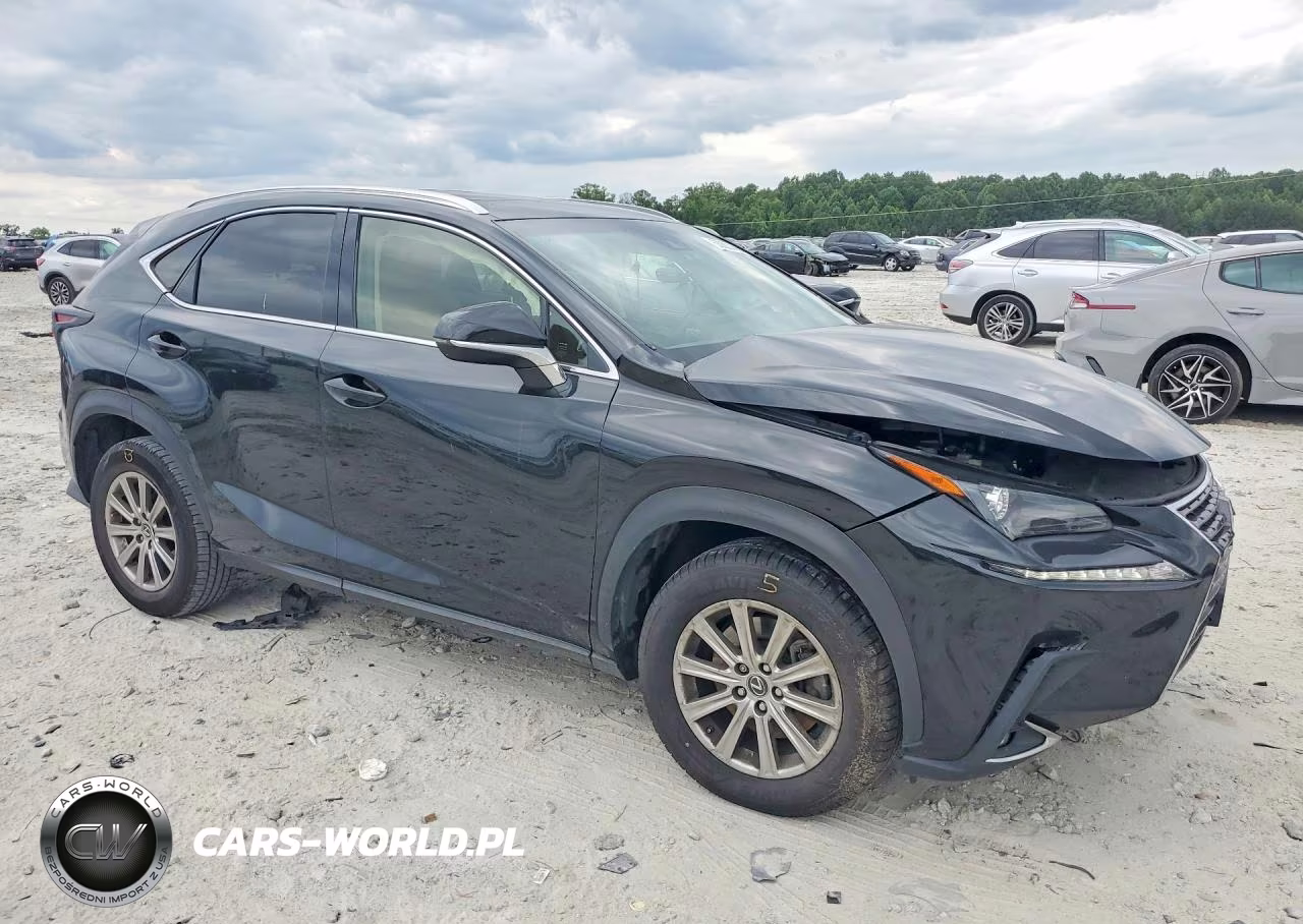 2019 Lexus Nx 300 Base VIN:JTJBARBZ4K2214550 - 4