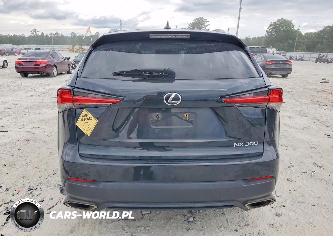 2019 Lexus Nx 300 Base VIN:JTJBARBZ4K2214550 - 6