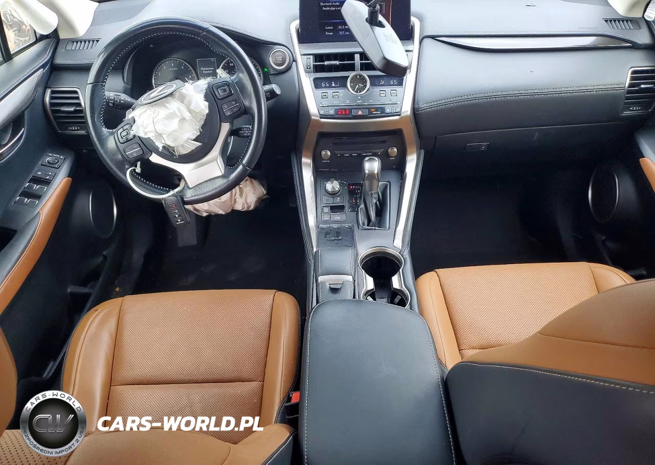 2019 Lexus Nx 300 Base VIN:JTJBARBZ4K2214550 - 8