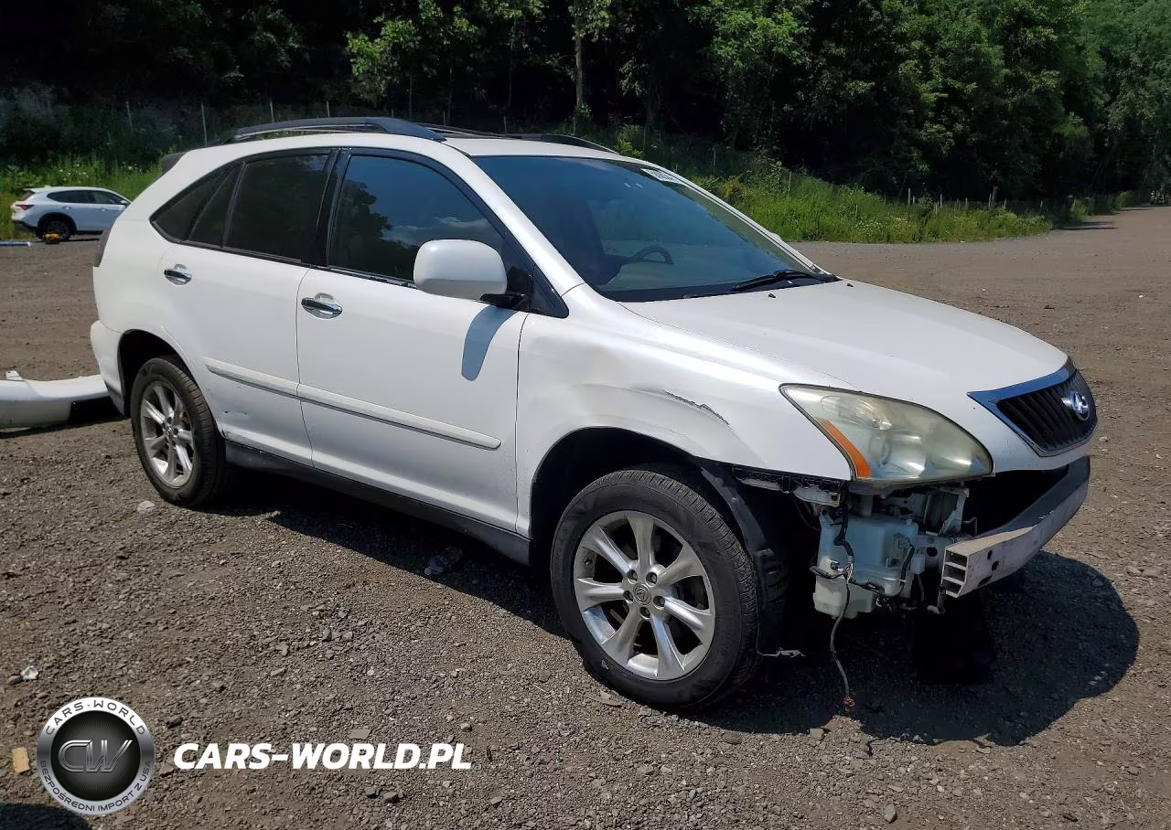 2009 Lexus Rx 350 VIN:2T2HK31U89C129697 - 4