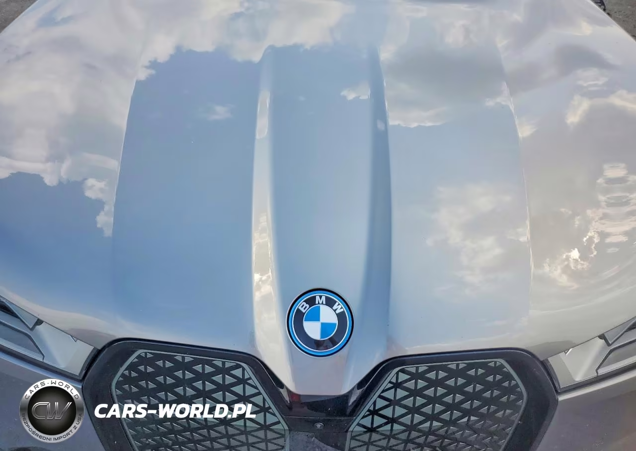 2023 BMW Ix xDrive50 VIN:WB523CF04PCM48299 - 12