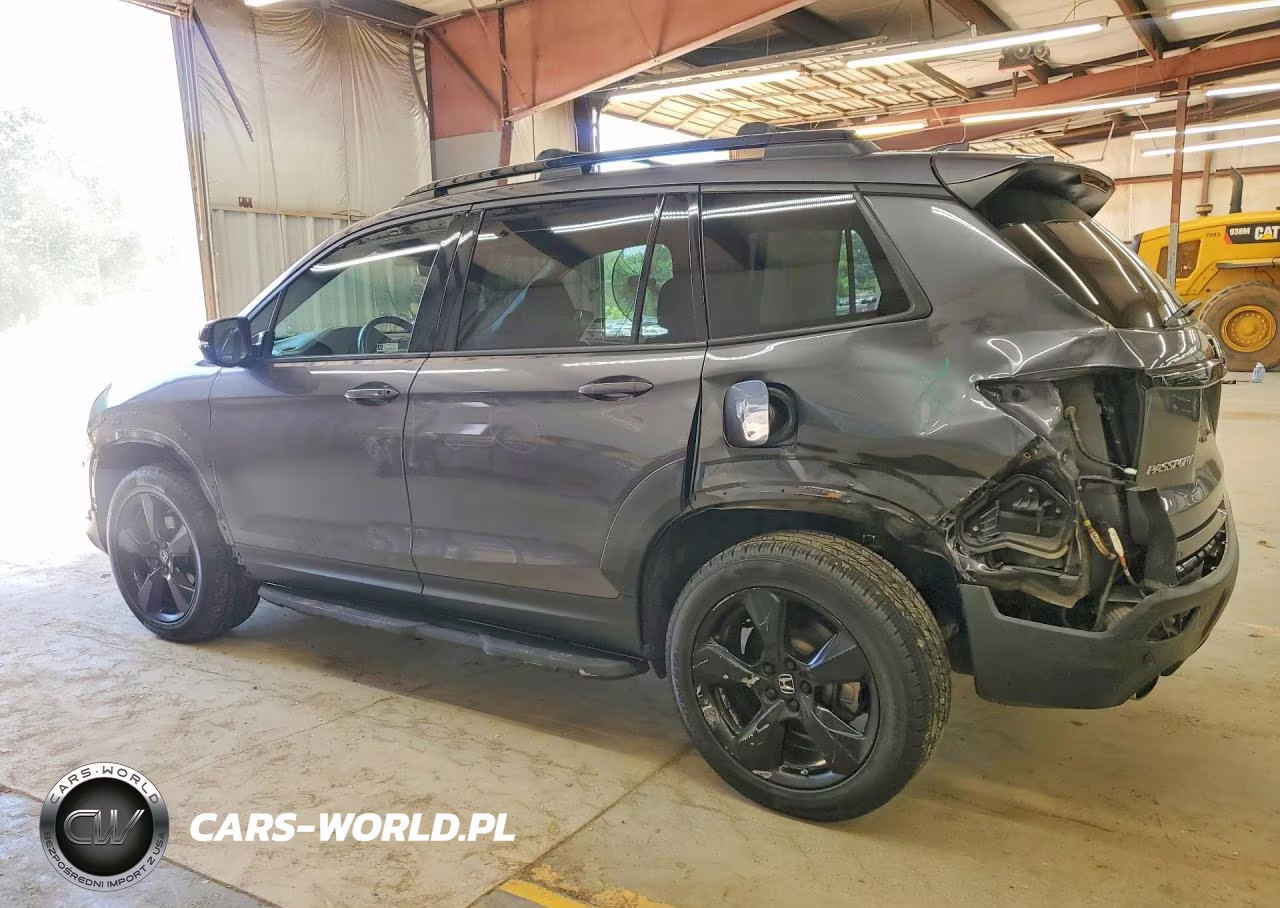 2019 Honda Passport Elite VIN:5FNYF8H08KB003835 - 2