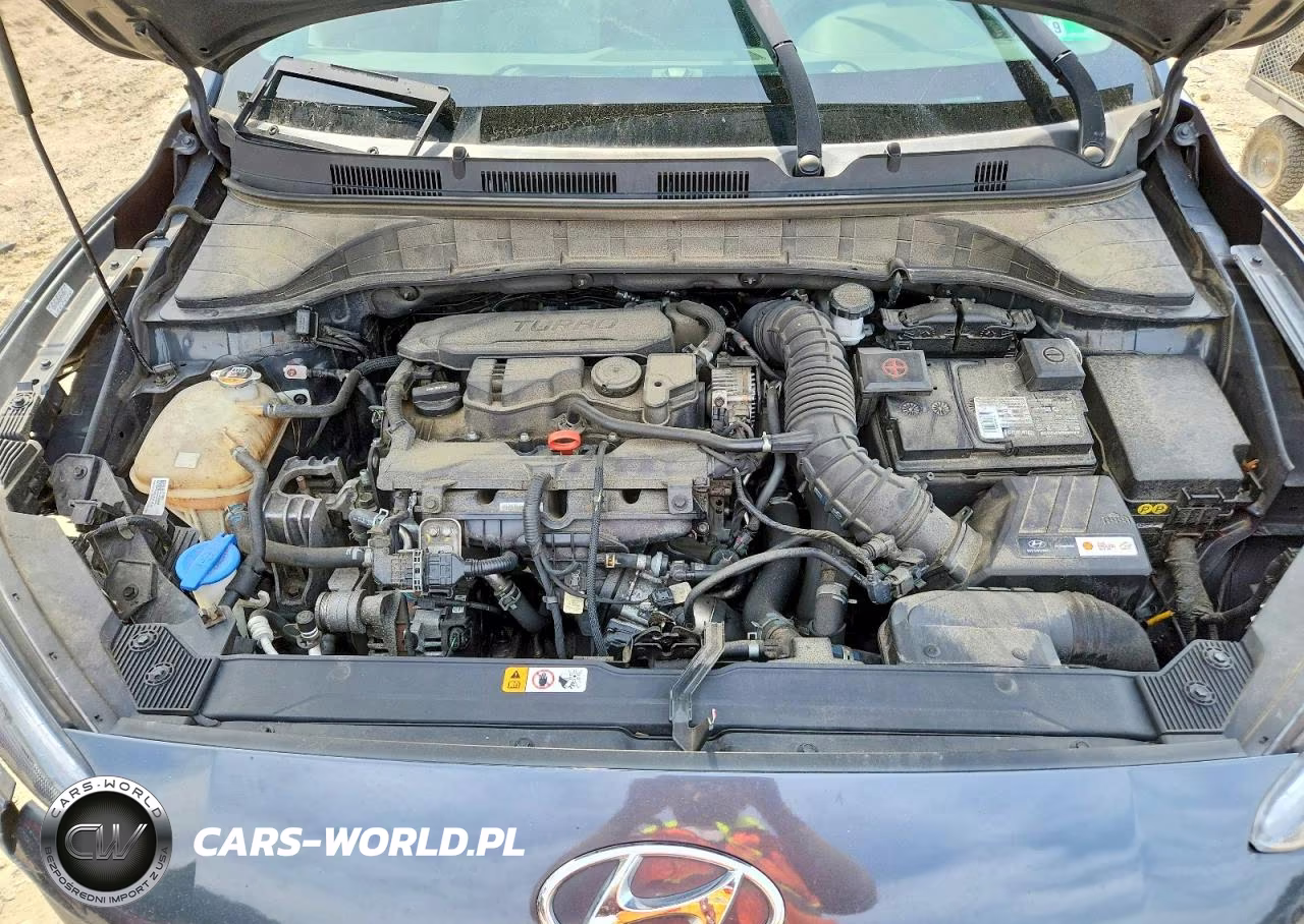 2022 Hyundai Kona Limited VIN:KM8K53A36NU842826 - 12