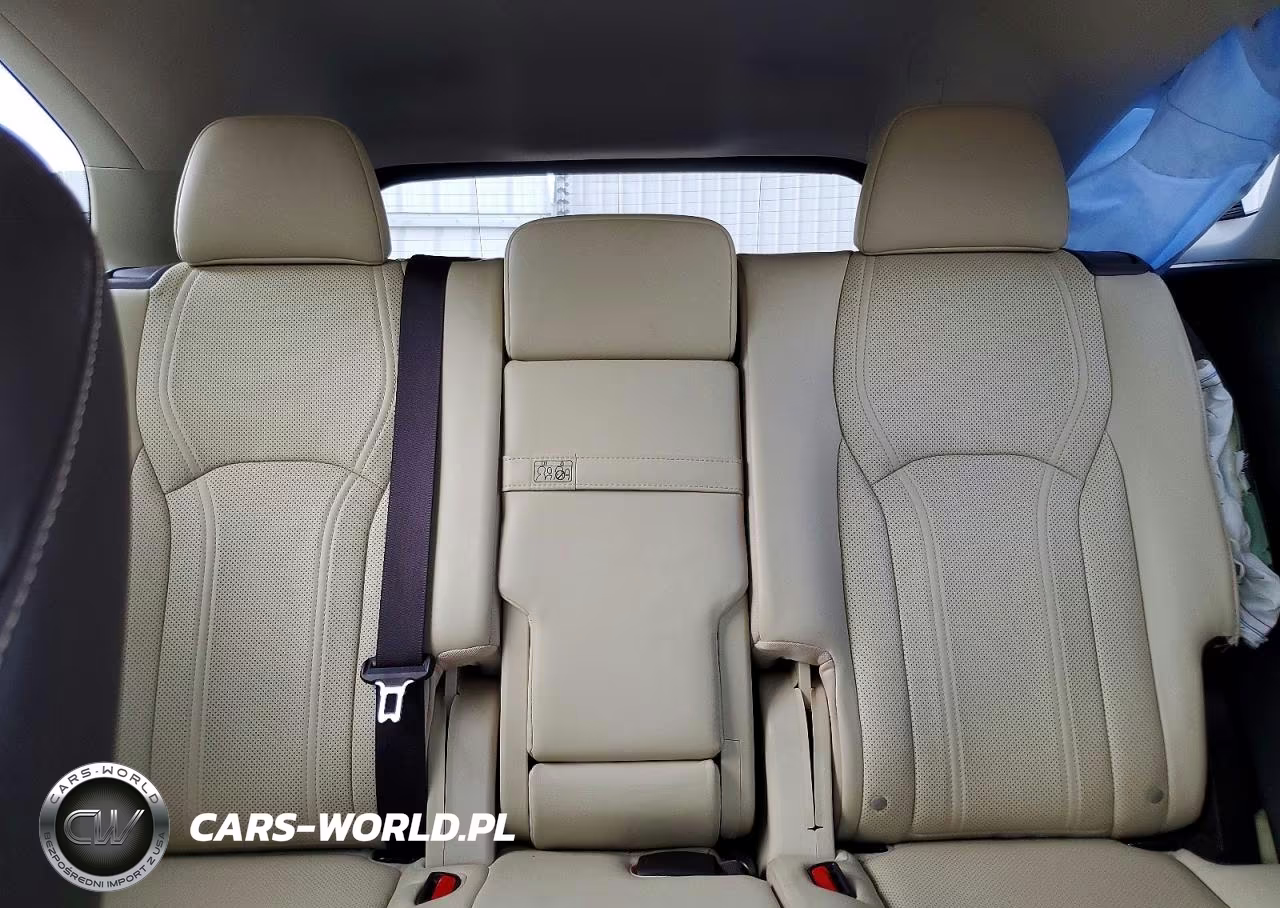 2018 Lexus Rx 350 L VIN:JTJDZKCA2J2000950 - 10