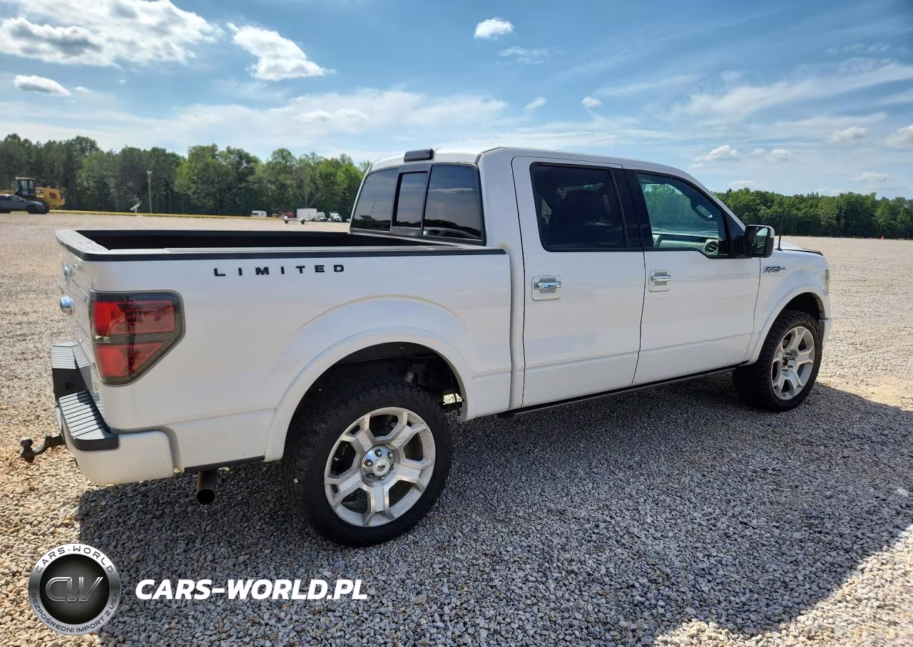 2011 Ford F150 Supercrew VIN:1FTFW1E67BFA47022 - 3