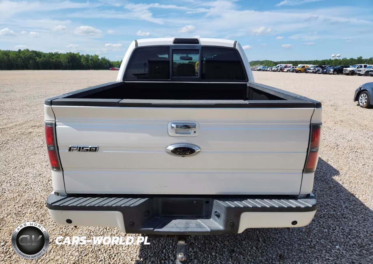 2011 Ford F150 Supercrew VIN:1FTFW1E67BFA47022 - 6