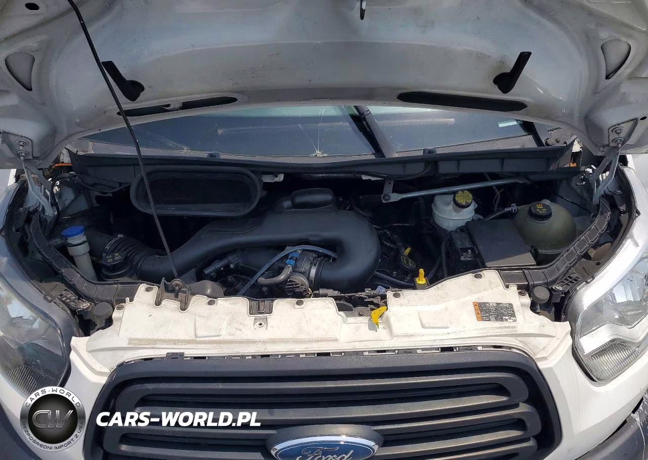 2019 Ford Transit T-250 Delivery Van VIN:1FTYR2CM1KKB37832 - 12