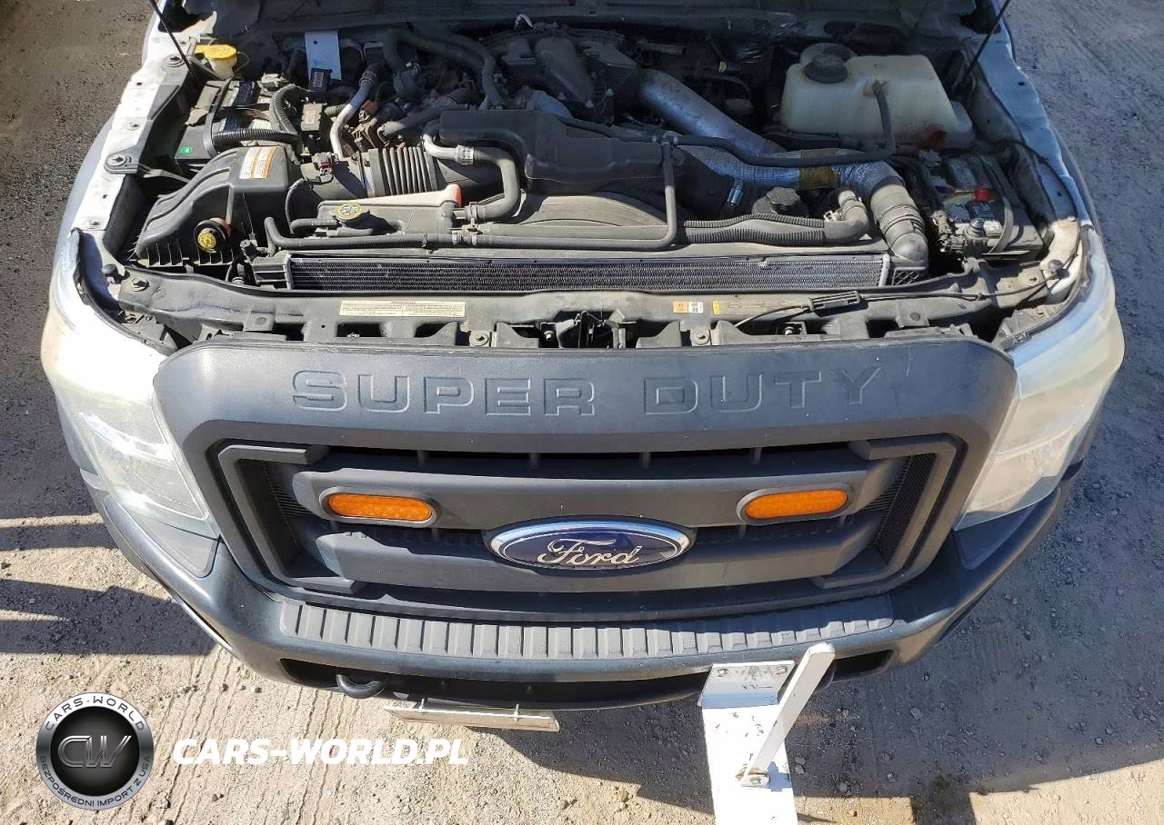 2014 Ford F450 Super Duty VIN:1FDUF4GT6EEA94494 - 11
