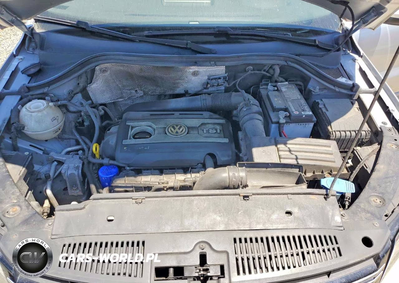 2016 Volkswagen Tiguan S VIN:WVGBV7AX2GW576013 - 11