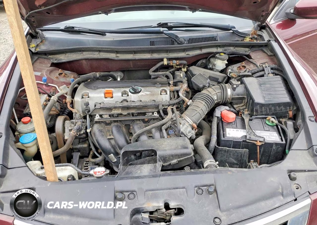 2010 Honda Accord Lx VIN:1HGCP2F33AA143334 - 11