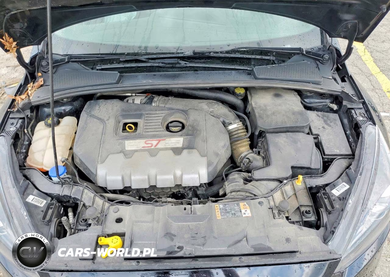 2018 Ford Focus St VIN:1FADP3L91JL203719 - 12