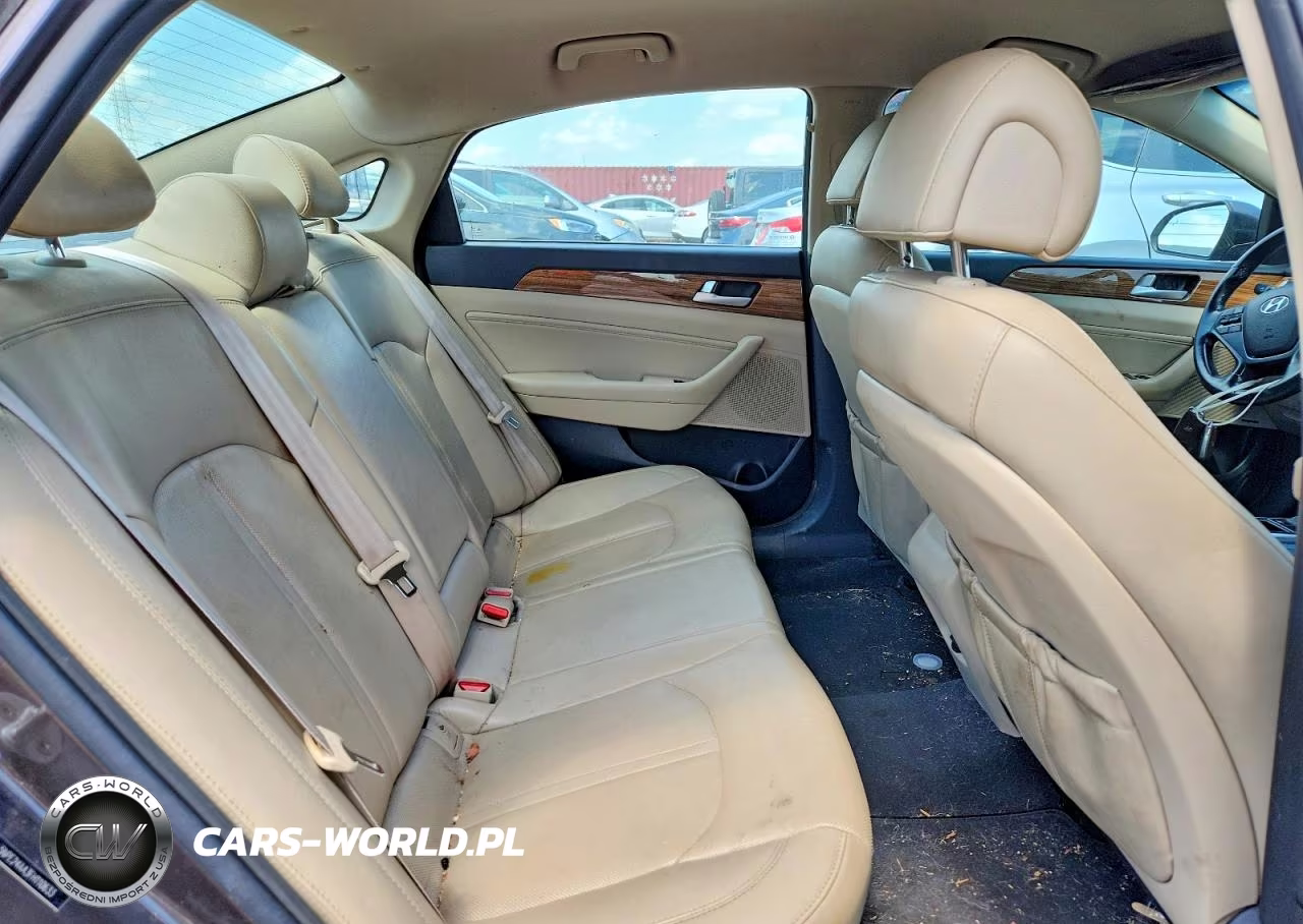 2015 Hyundai Sonata Eco VIN:5NPE24AA3FH110633 - 10