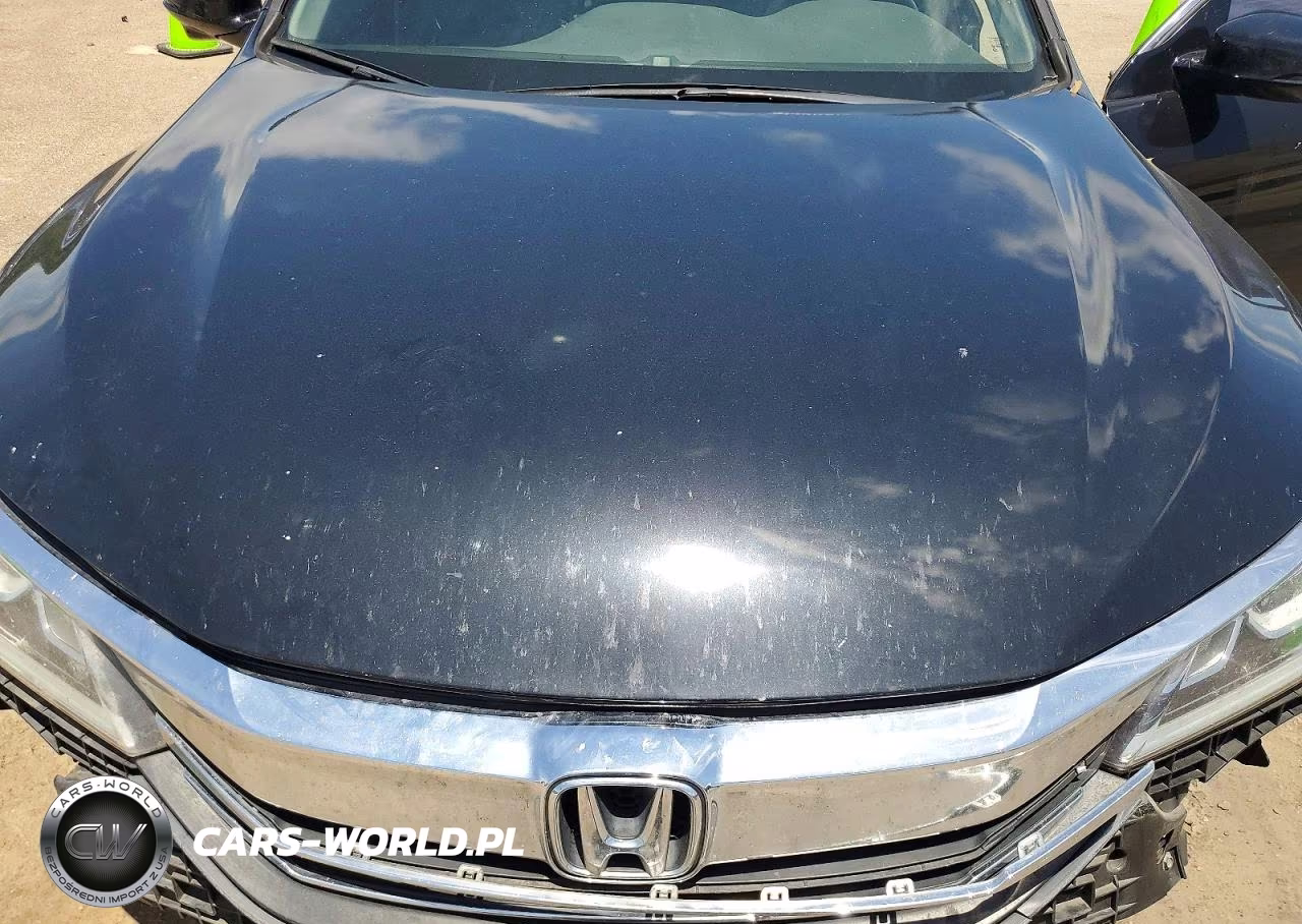 2016 Honda 5500Ppg VIN:1HGCR2F95GA040617 - 11