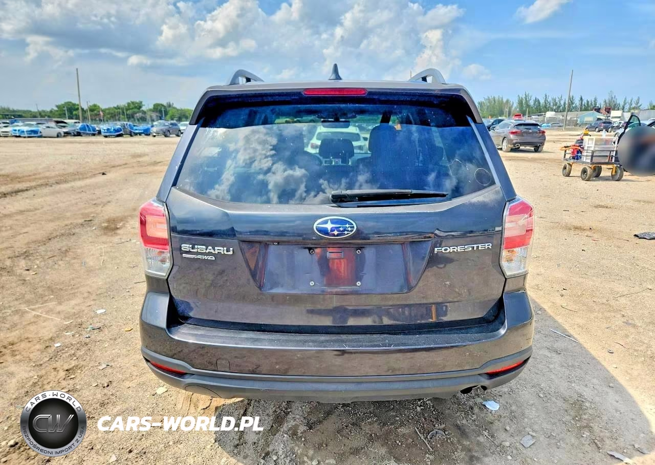 2018 Subaru Forester 2.5I Premium VIN:JF2SJAEC7JH406294 - 6