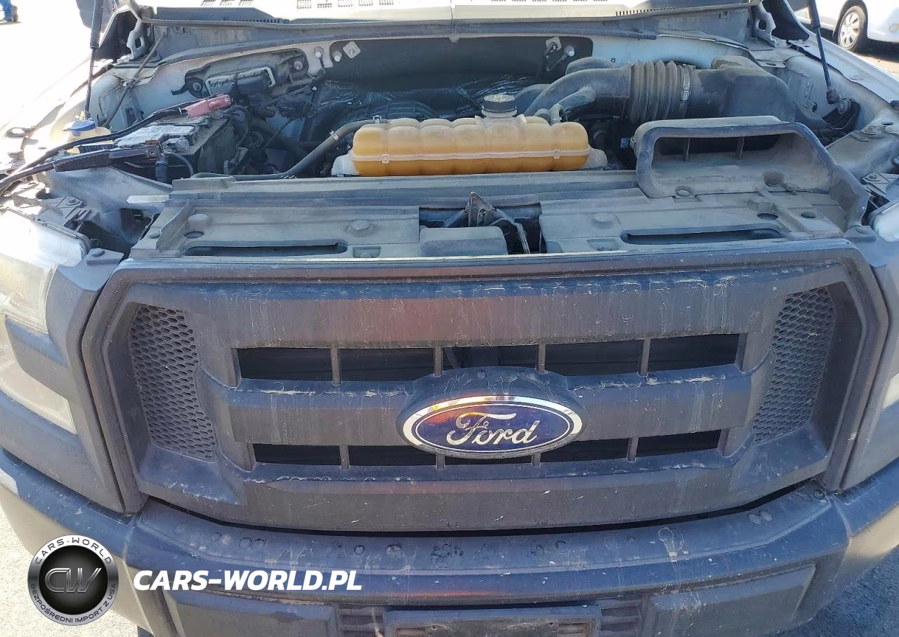 2016 Ford F150 VIN:1FTMF1C89GKD39782 - 11