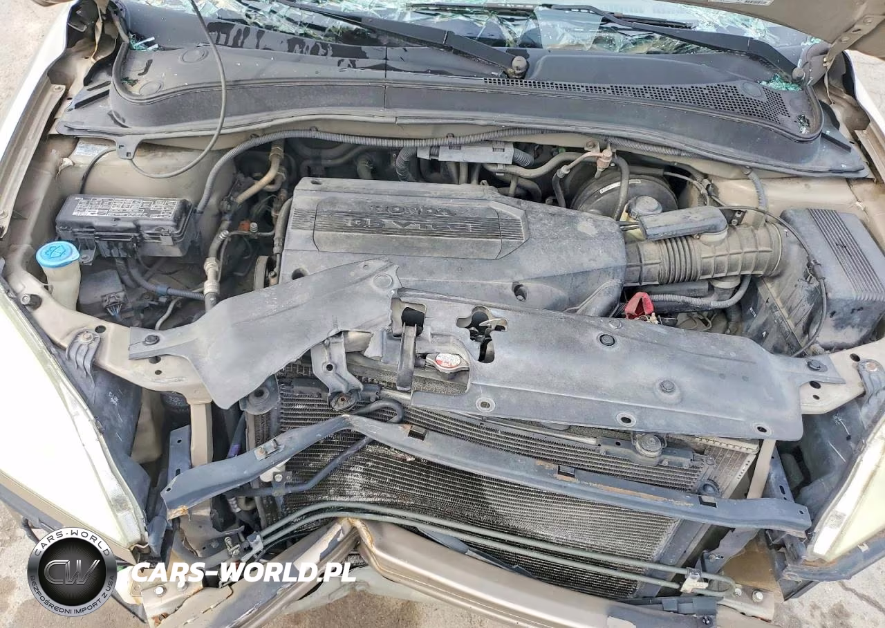 2004 Honda Pilot Exl VIN:2HKYF186X4H586568 - 12