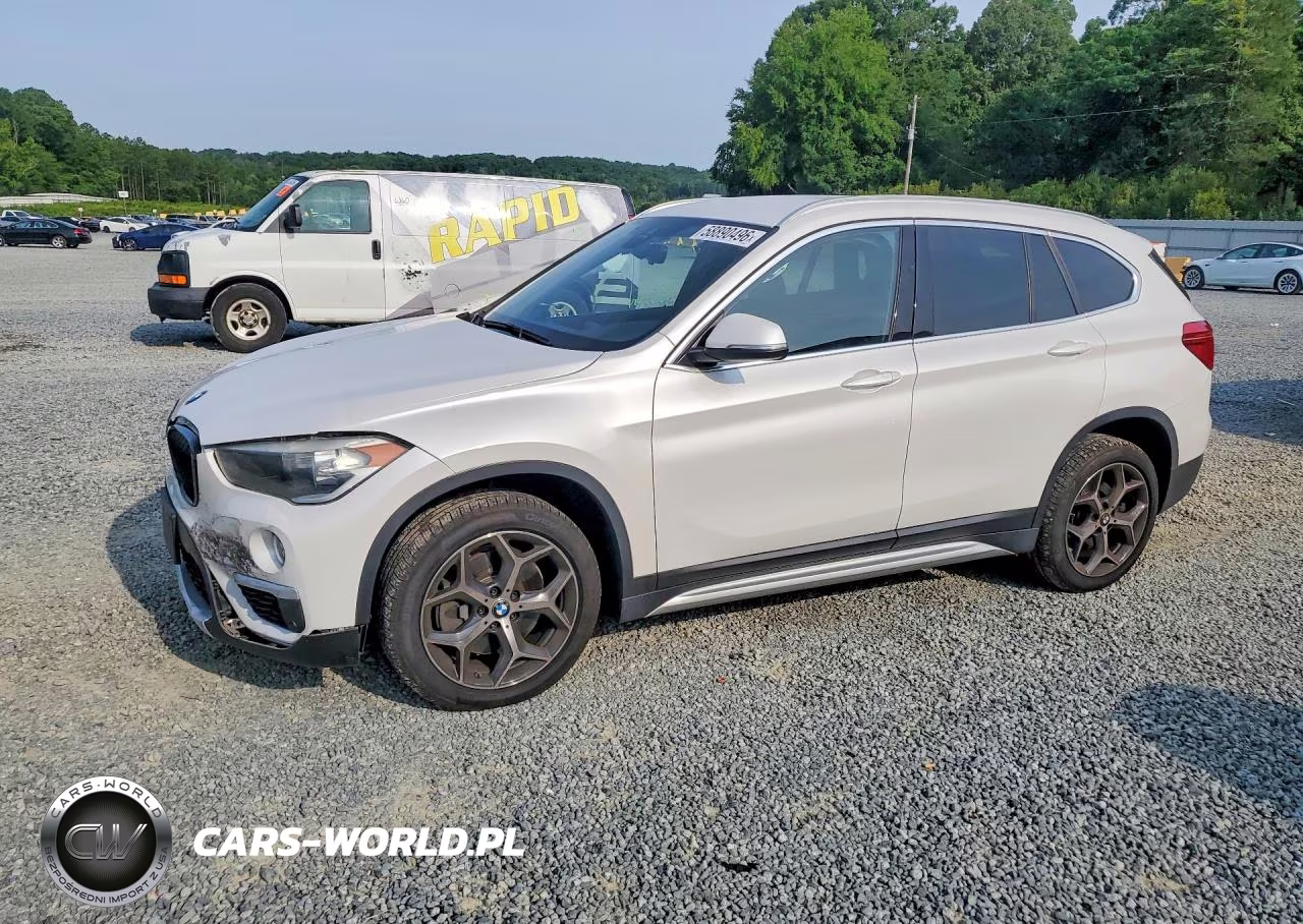 2019 BMW X1 xDrive28I – zdjęcie 1 z 13