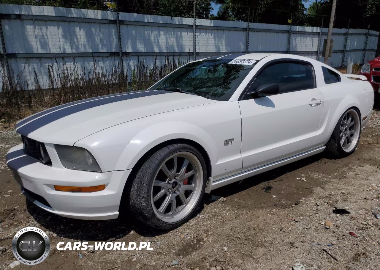 2006 Ford Mustang Gt VIN:1ZVHT82H065197692 - 1
