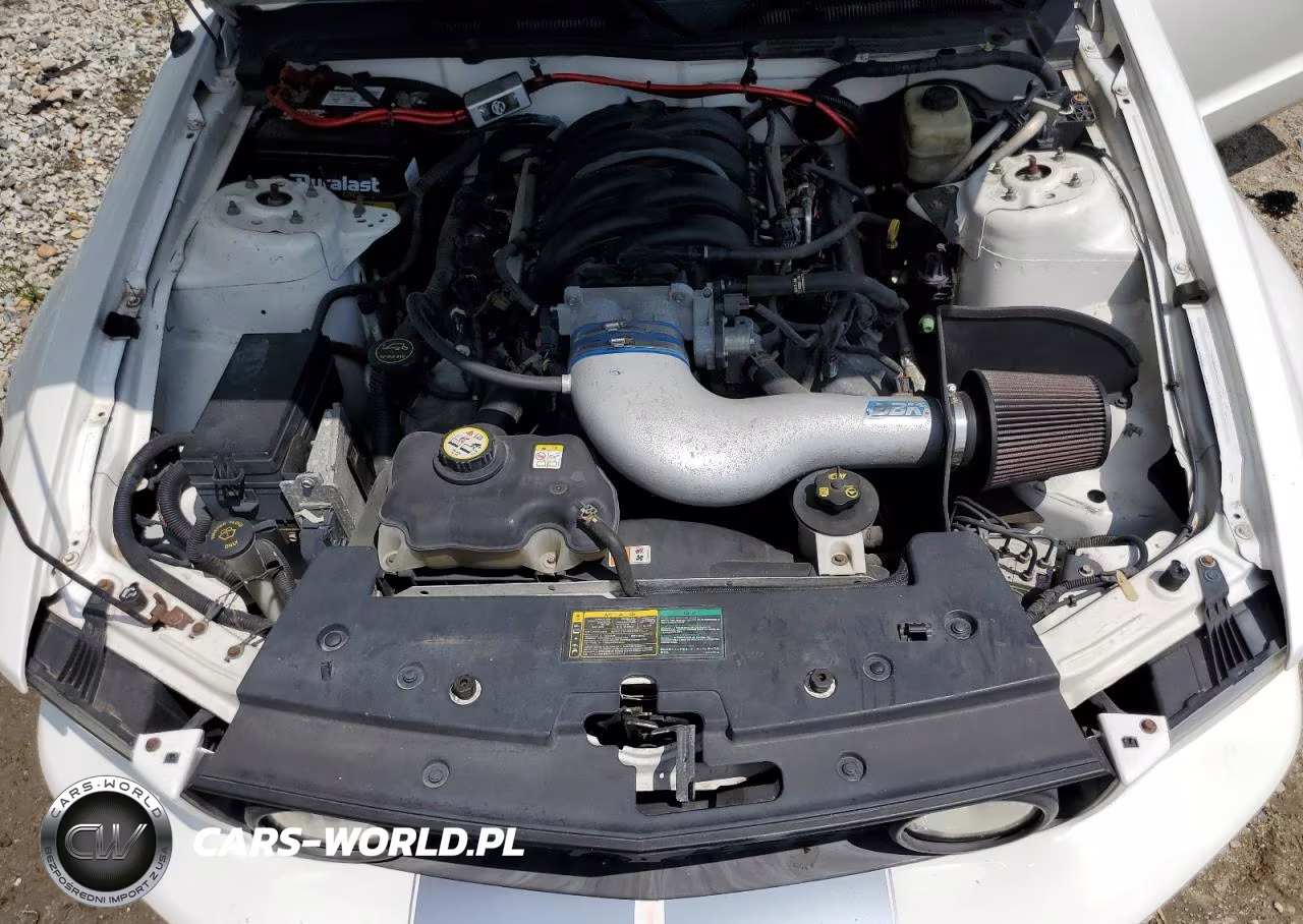 2006 Ford Mustang Gt VIN:1ZVHT82H065197692 - 11