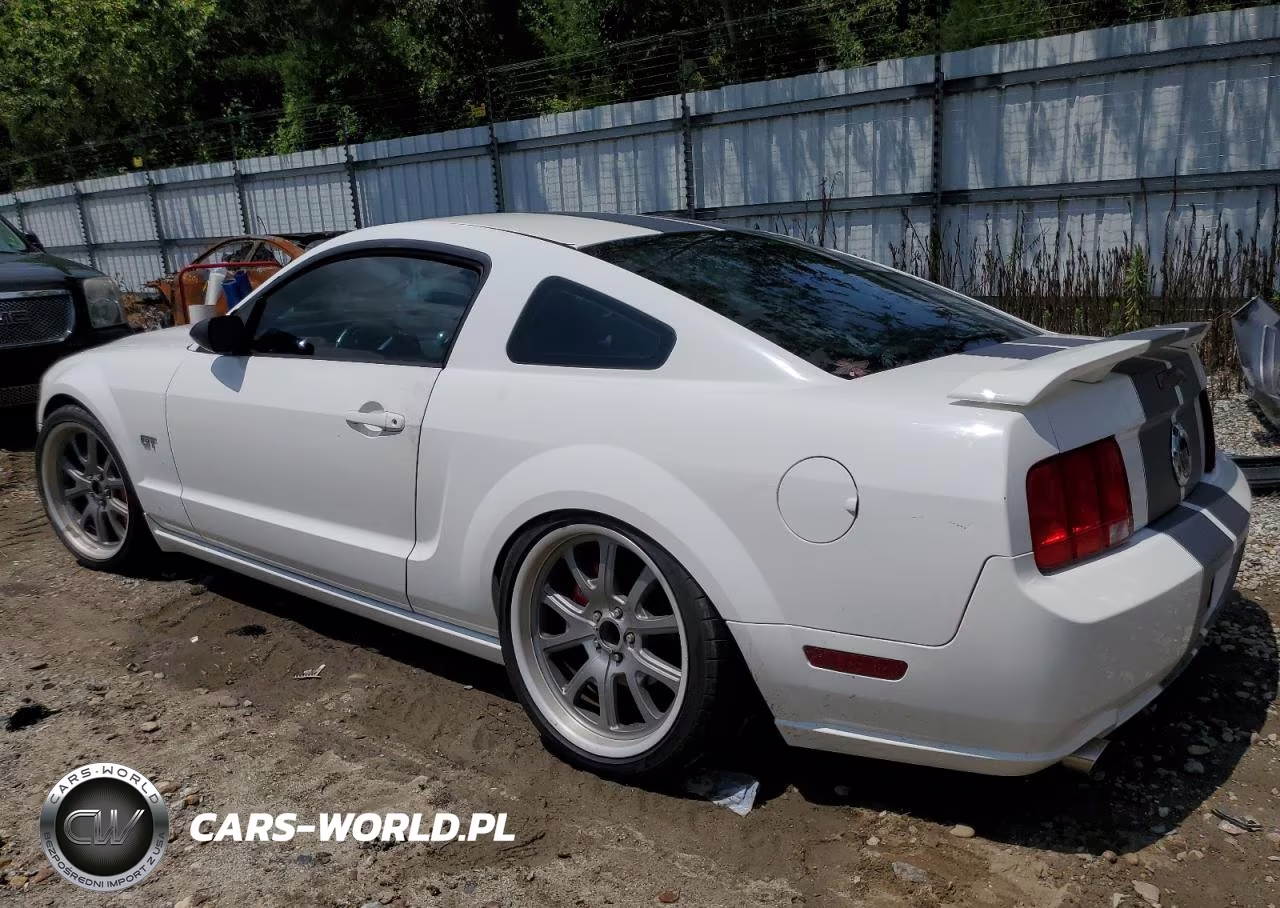2006 Ford Mustang Gt VIN:1ZVHT82H065197692 - 2