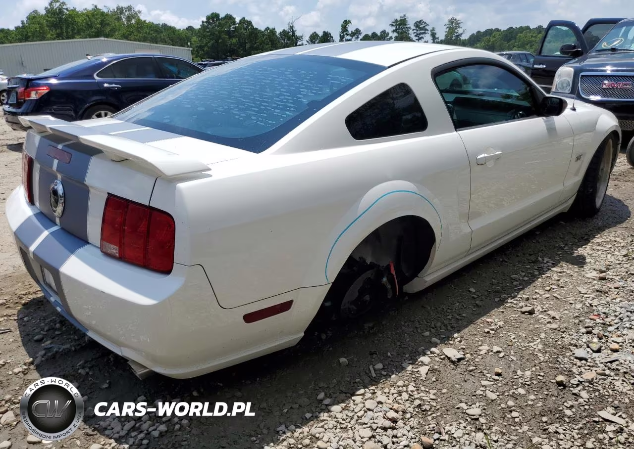 2006 Ford Mustang Gt VIN:1ZVHT82H065197692 - 3