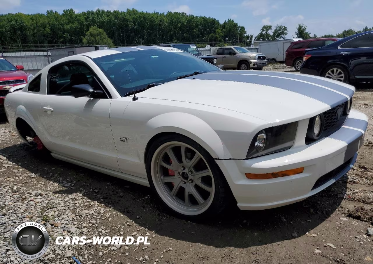 2006 Ford Mustang Gt VIN:1ZVHT82H065197692 - 4