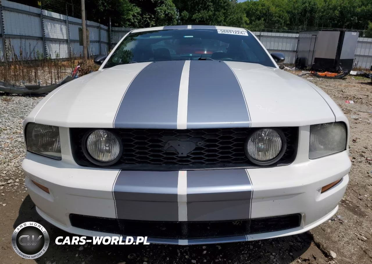2006 Ford Mustang Gt VIN:1ZVHT82H065197692 - 5