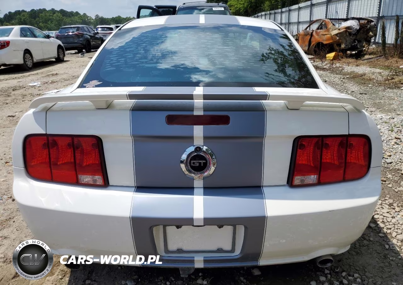 2006 Ford Mustang Gt VIN:1ZVHT82H065197692 - 6