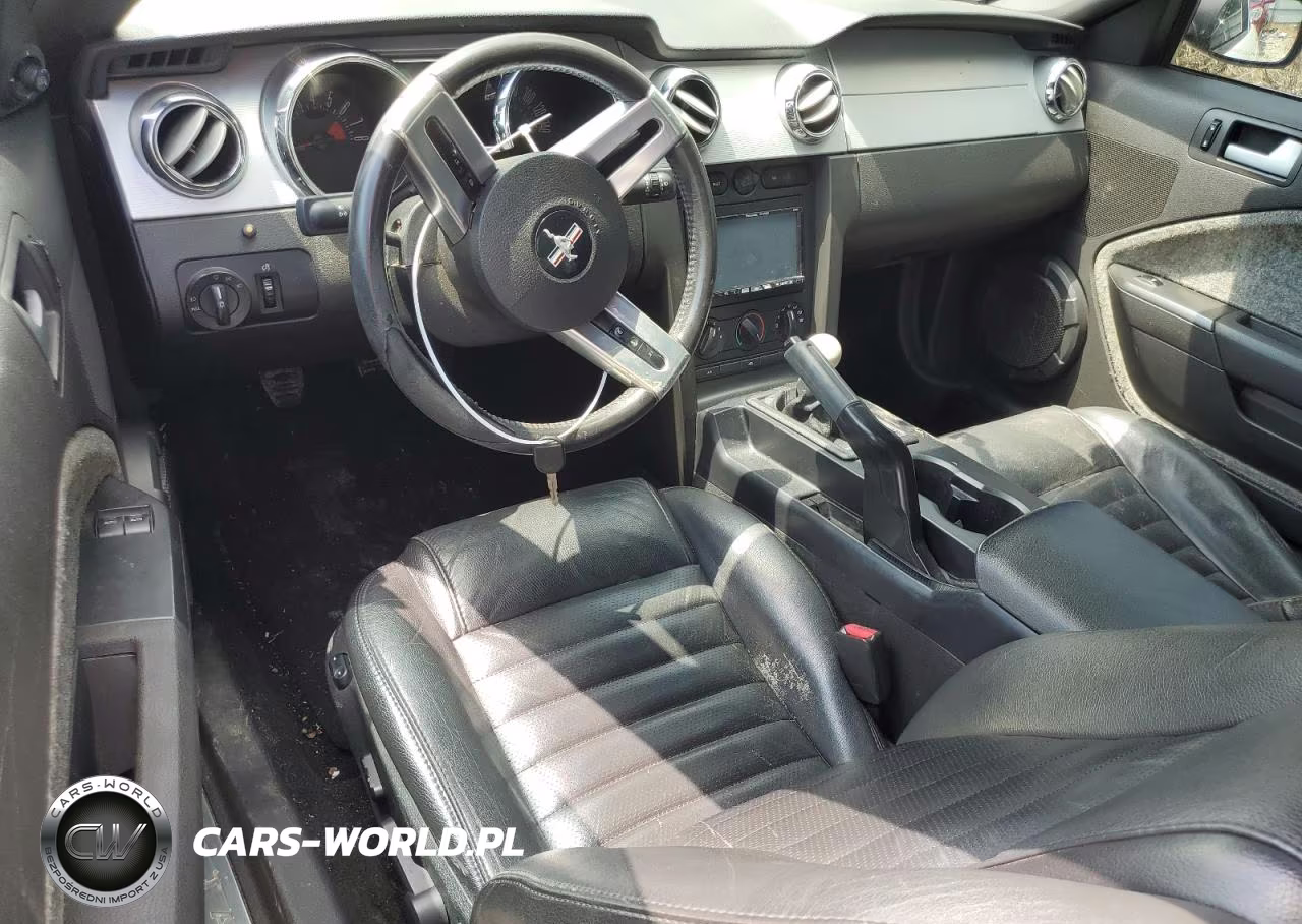 2006 Ford Mustang Gt VIN:1ZVHT82H065197692 - 8
