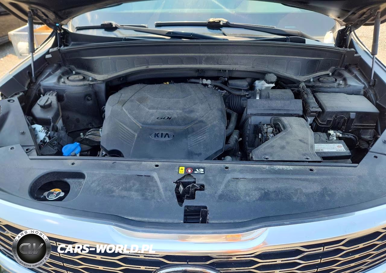 2020 Kia Telluride S VIN:5XYP6DHC0LG093393 - 12