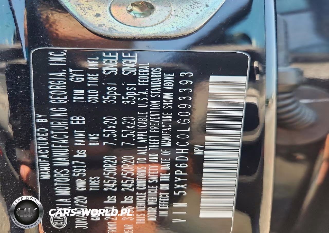 2020 Kia Telluride S VIN:5XYP6DHC0LG093393 - 13