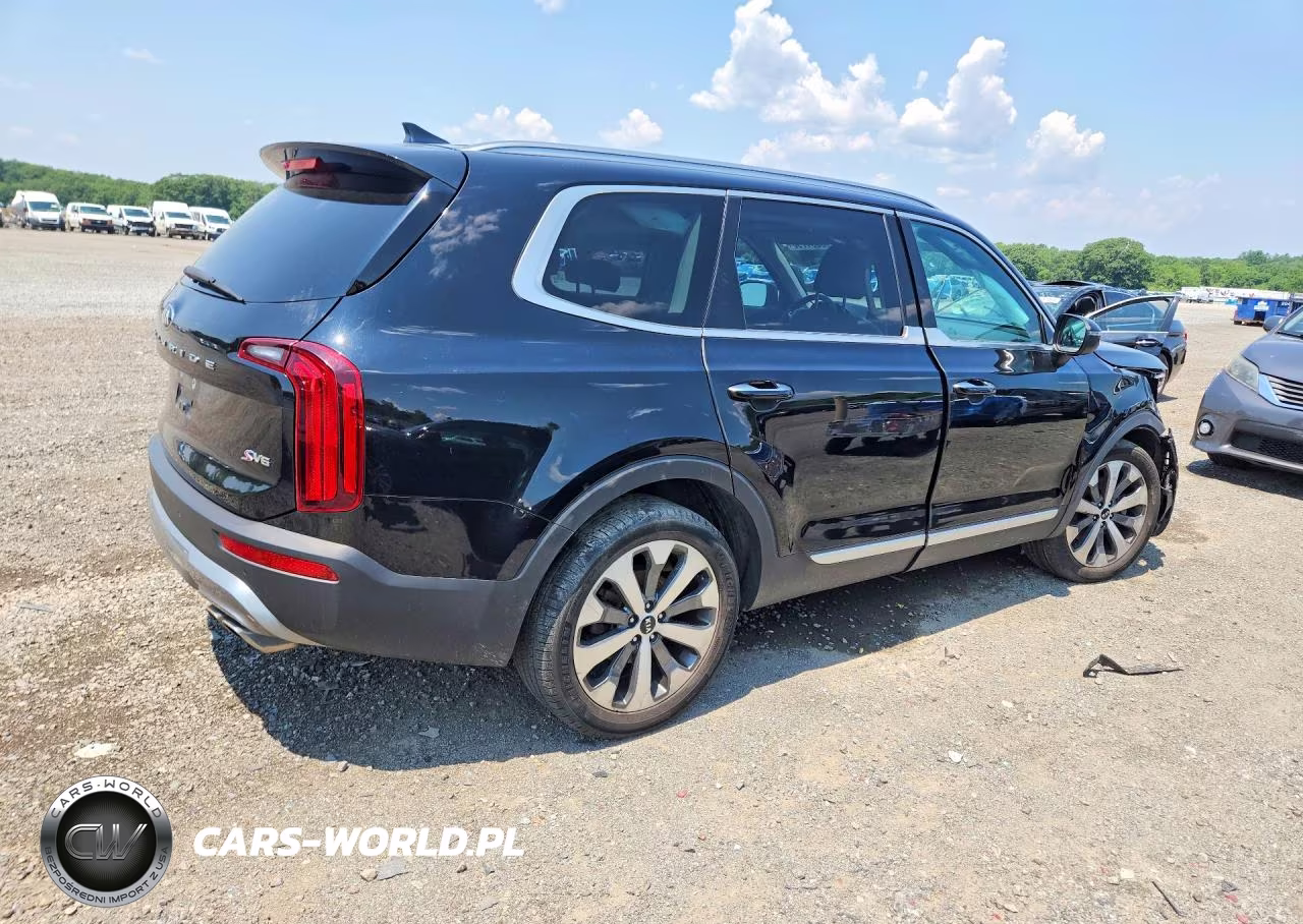 2020 Kia Telluride S VIN:5XYP6DHC0LG093393 - 3