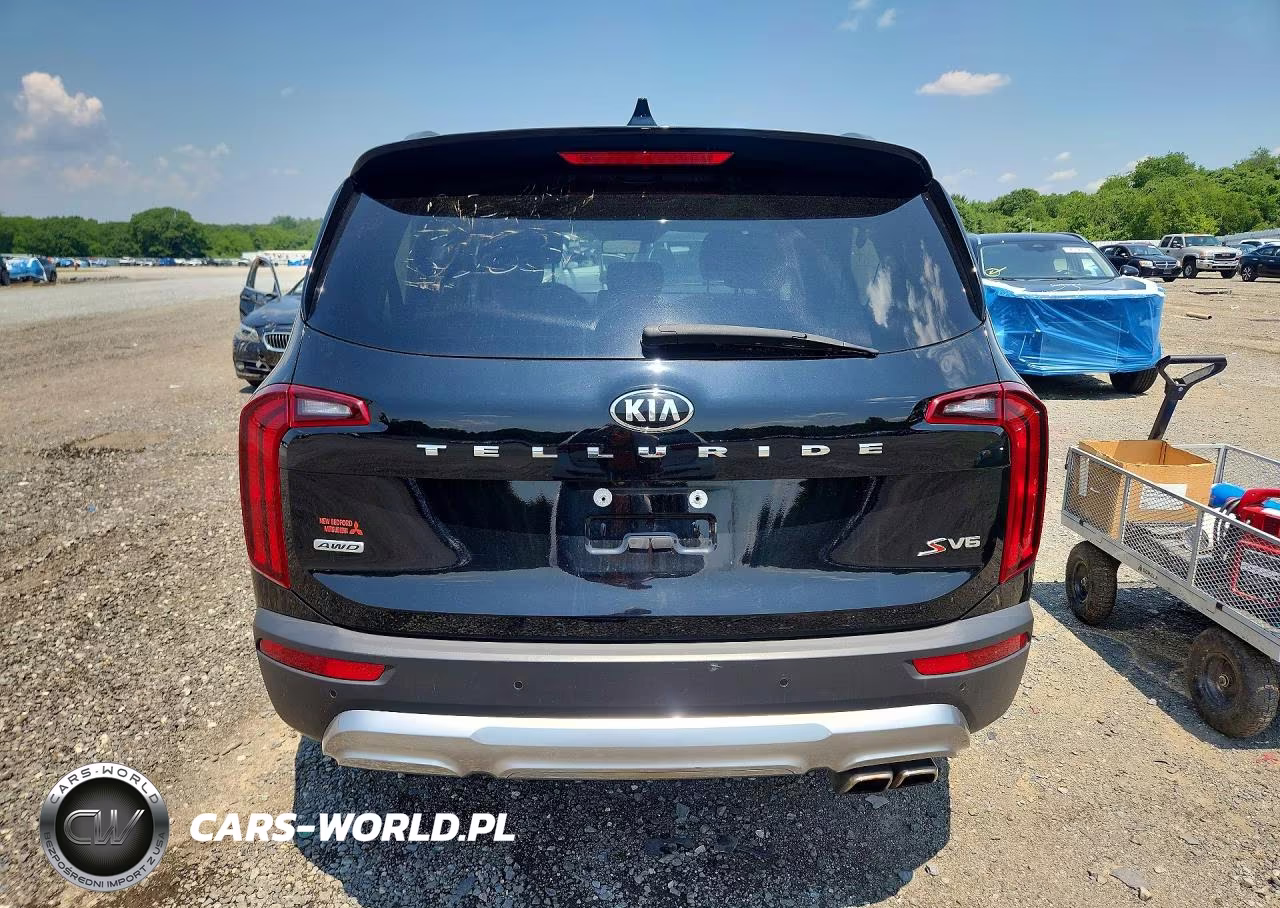 2020 Kia Telluride S VIN:5XYP6DHC0LG093393 - 6