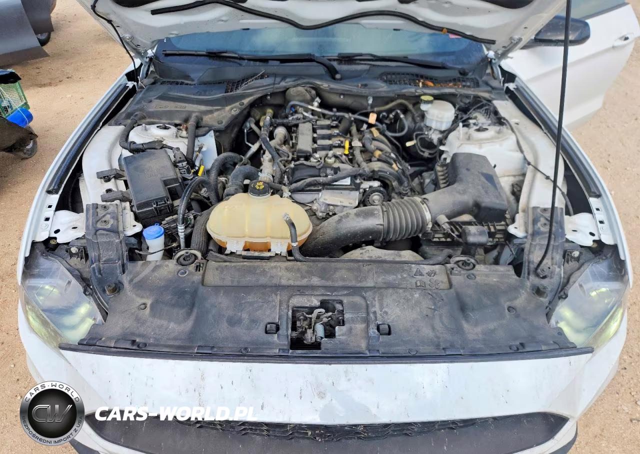 2021 Ford Mustang VIN:1FA6P8TH0M5134656 - 11