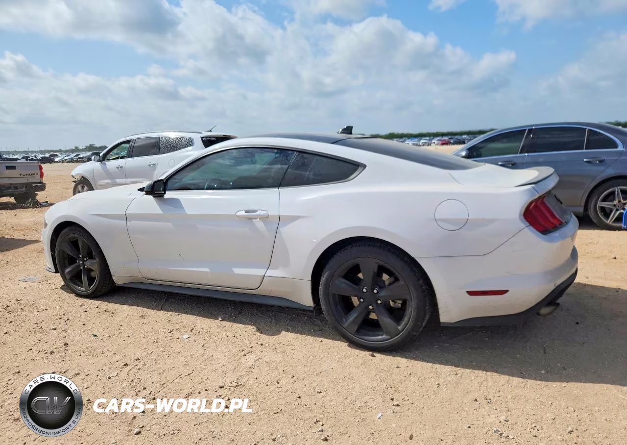 2021 Ford Mustang VIN:1FA6P8TH0M5134656 - 2