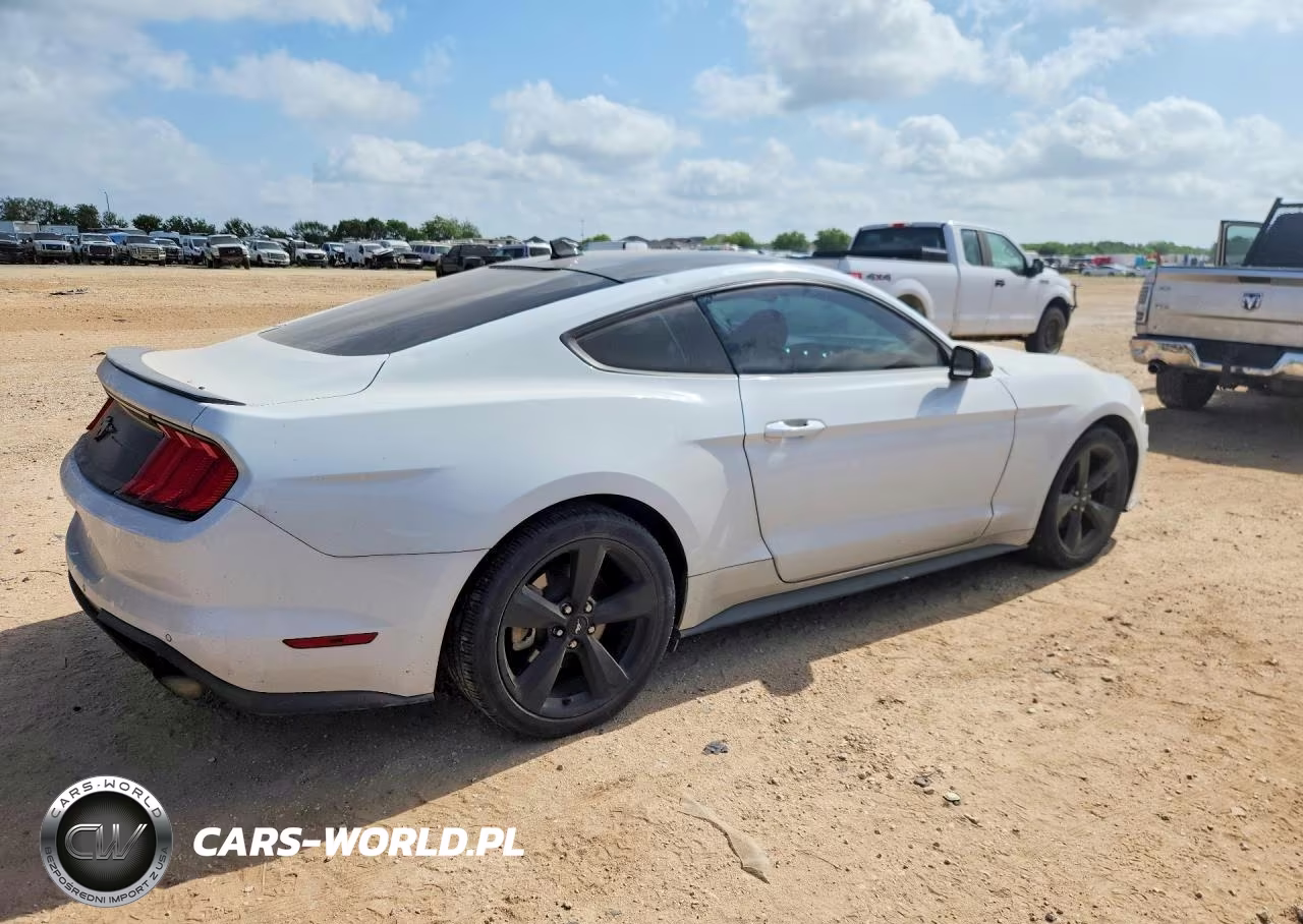 2021 Ford Mustang VIN:1FA6P8TH0M5134656 - 3