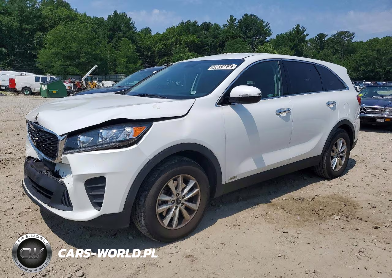 2019 Kia Sorento Lx VIN:5XYPGDA31KG546510 - 1