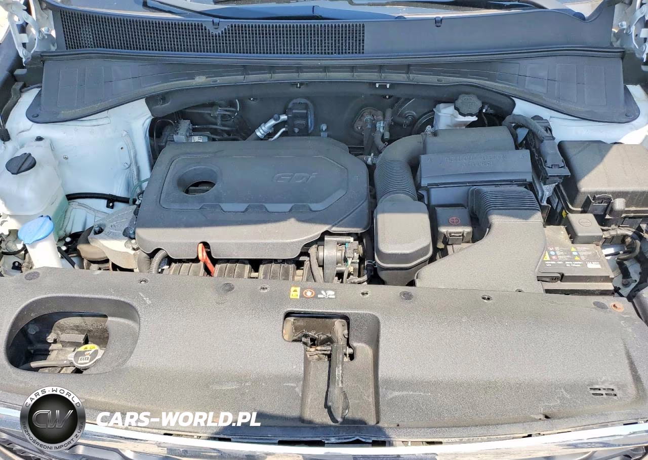 2019 Kia Sorento Lx VIN:5XYPGDA31KG546510 - 12