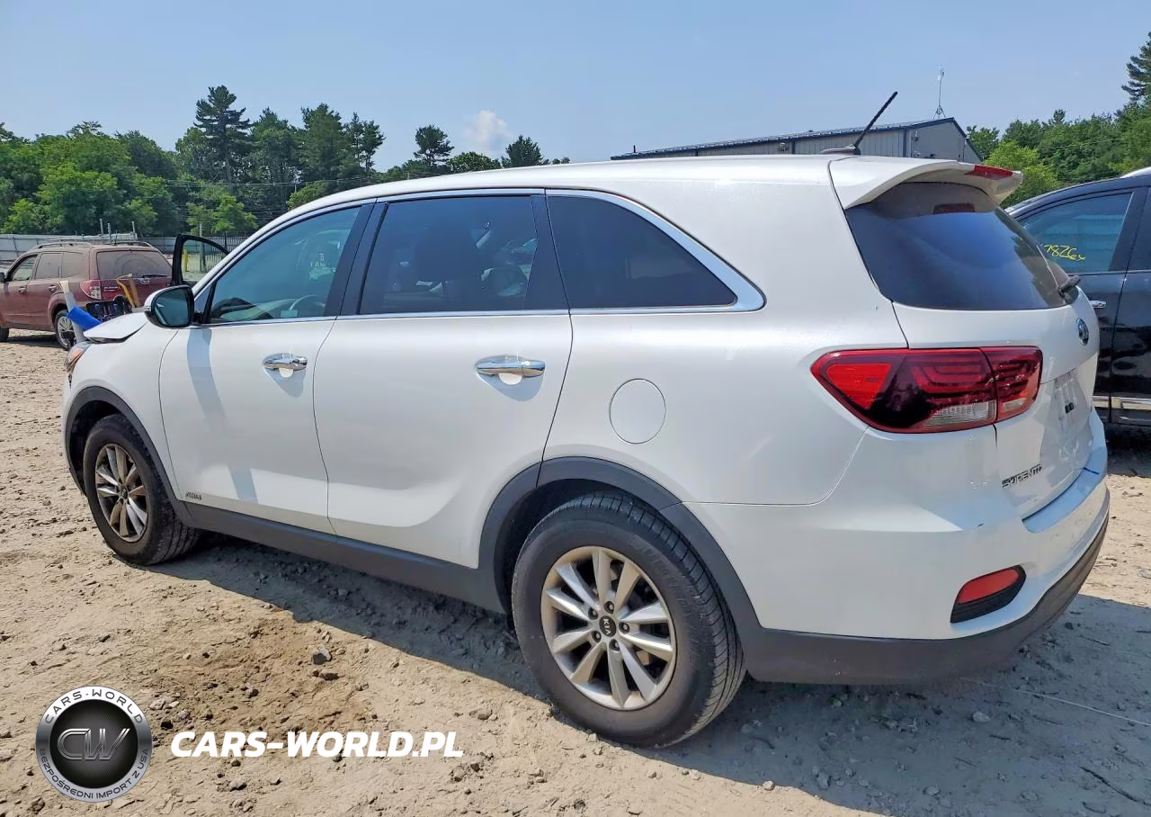 2019 Kia Sorento Lx VIN:5XYPGDA31KG546510 - 2