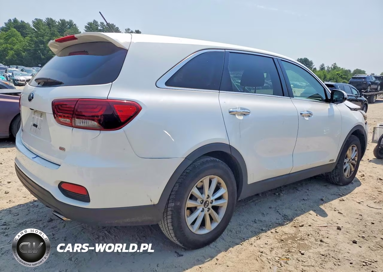 2019 Kia Sorento Lx VIN:5XYPGDA31KG546510 - 3