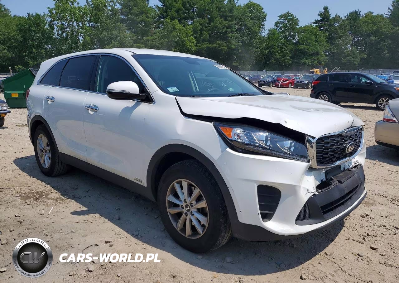 2019 Kia Sorento Lx VIN:5XYPGDA31KG546510 - 4