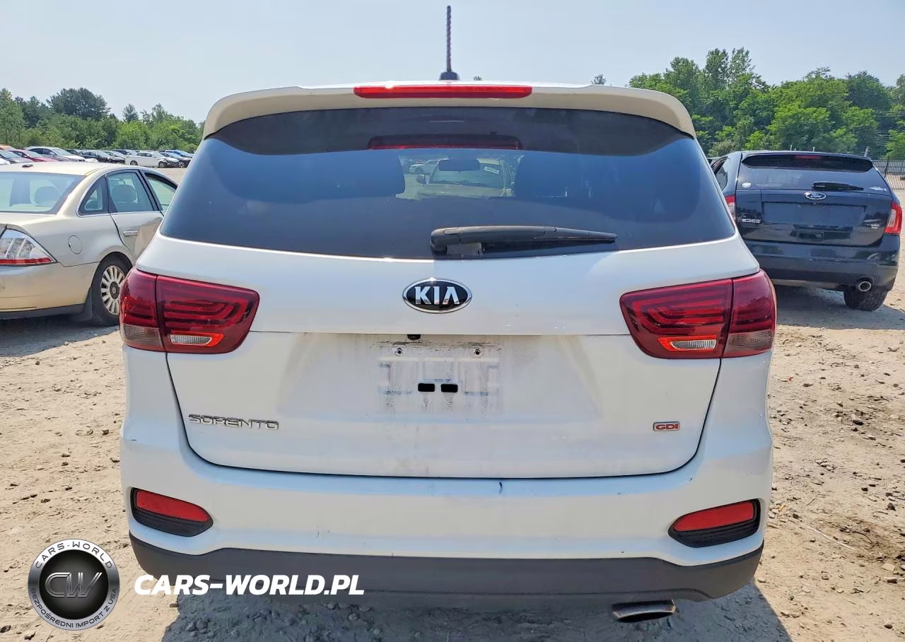 2019 Kia Sorento Lx VIN:5XYPGDA31KG546510 - 6